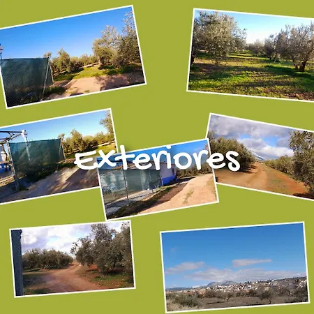 El Olivar Victoria * Cuevas del Campo
